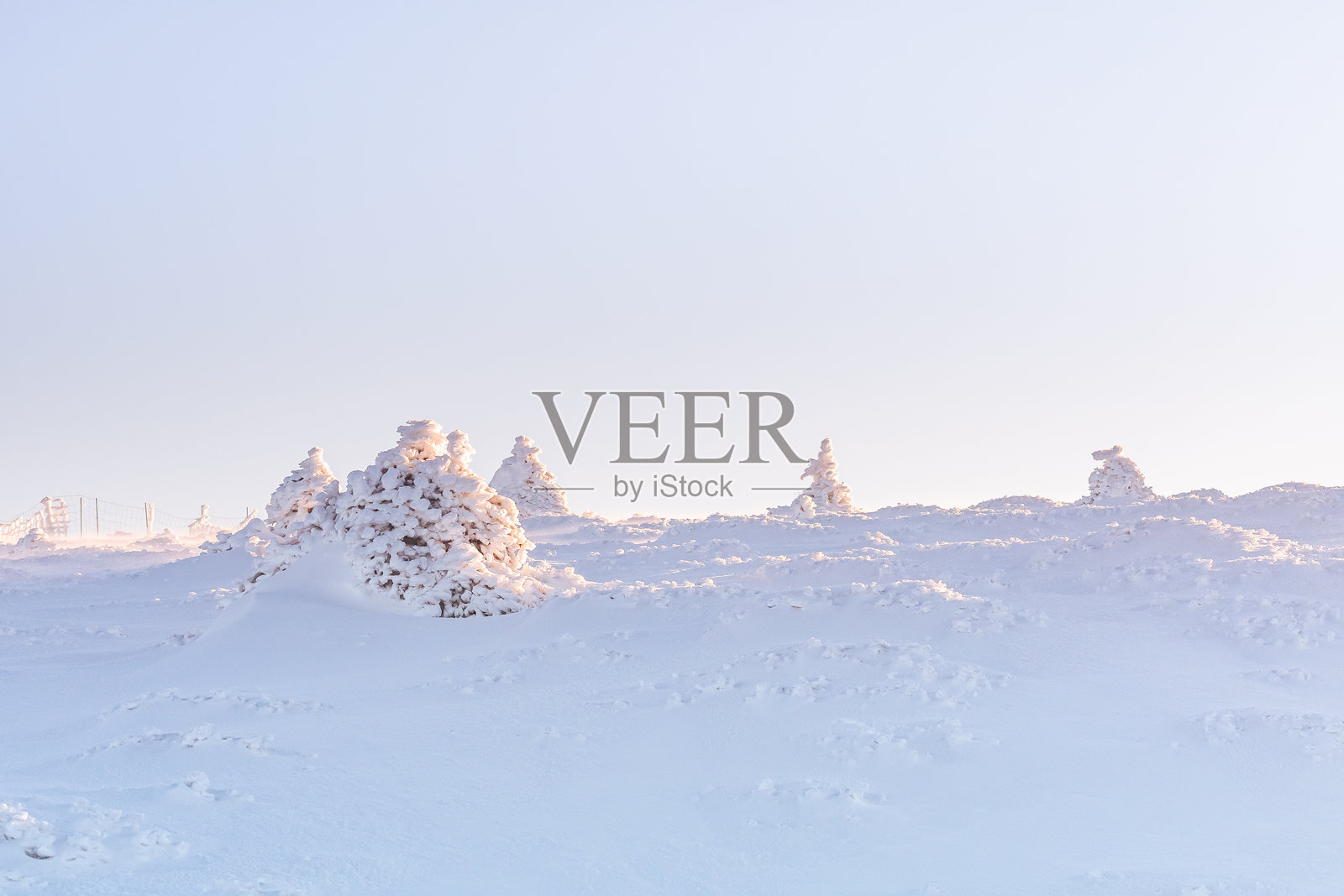 Hruby Jesenik，山顶覆盖着雪的树木，冬季徒步旅行时从登山小径俯瞰的景色，阳光明媚的冬季山地风光。照片摄影图片