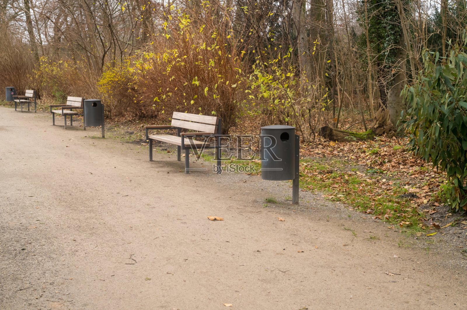 空荡荡的长椅沿着一条小路延伸，位于一个荒凉的秋季公园中照片摄影图片
