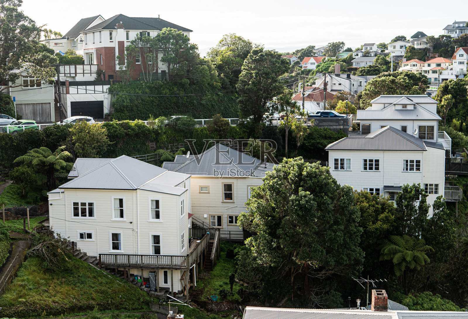 新西兰惠灵顿市的建筑、房屋和绿意盎然的城市景观照片摄影图片