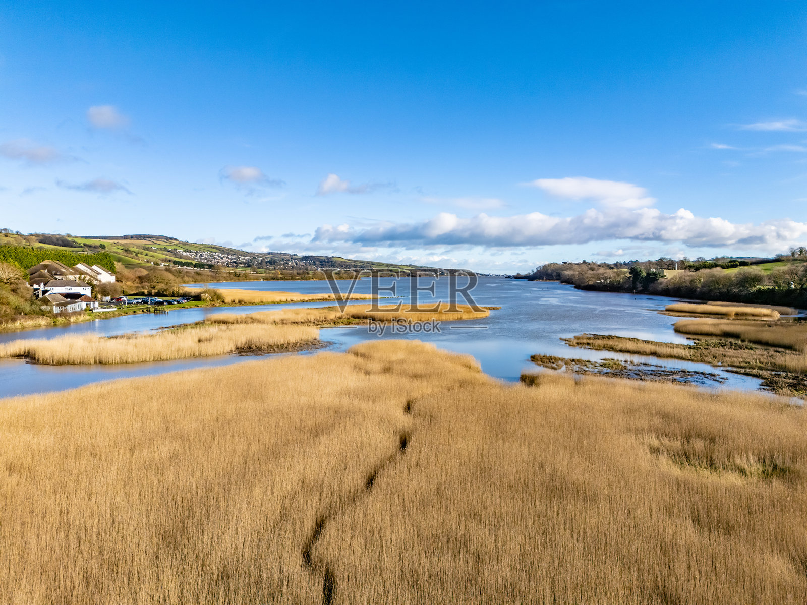 德文郡泰恩河的沼泽地照片摄影图片