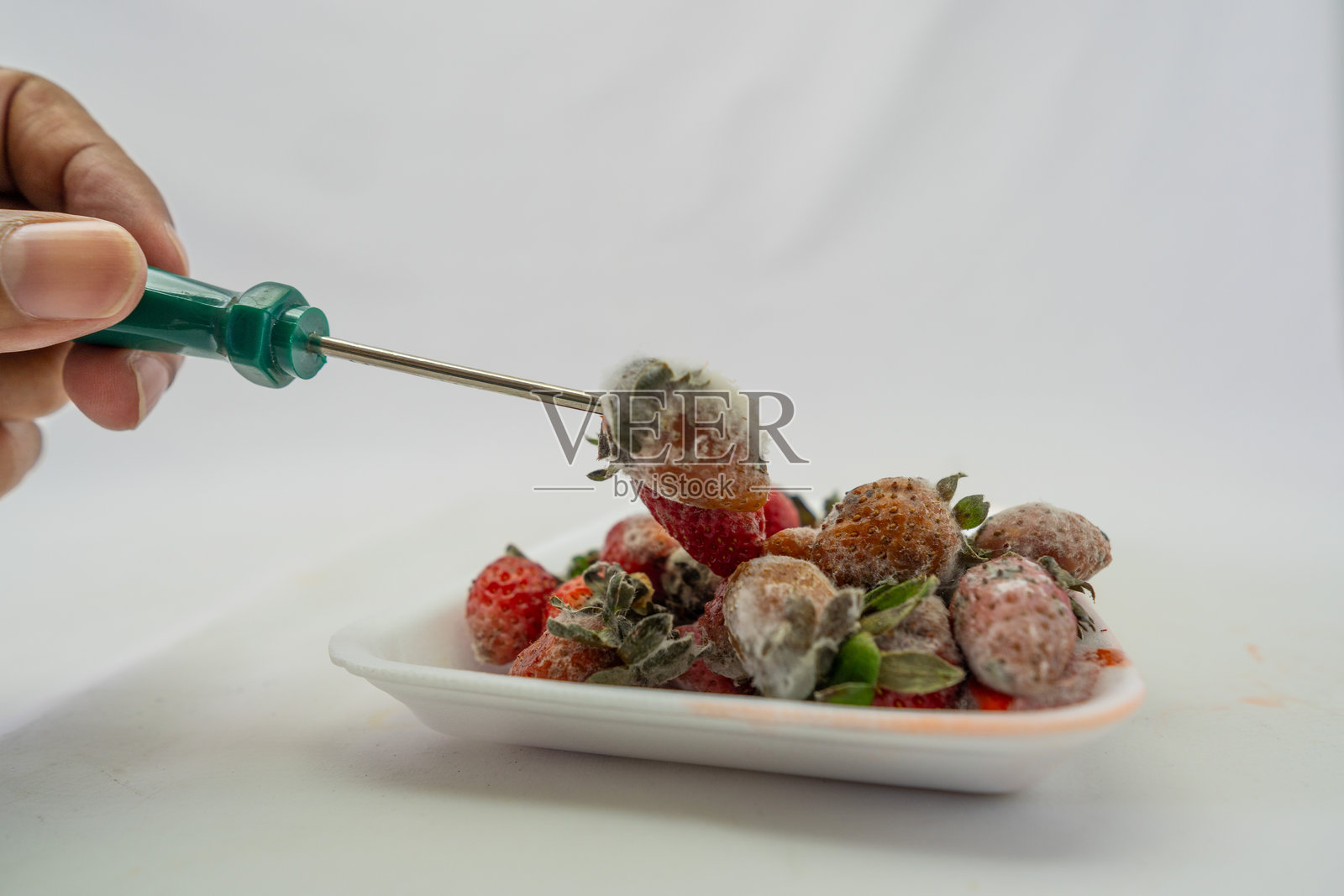 一盘极其腐烂的草莓，长满霉菌并散发出难闻的气味照片摄影图片