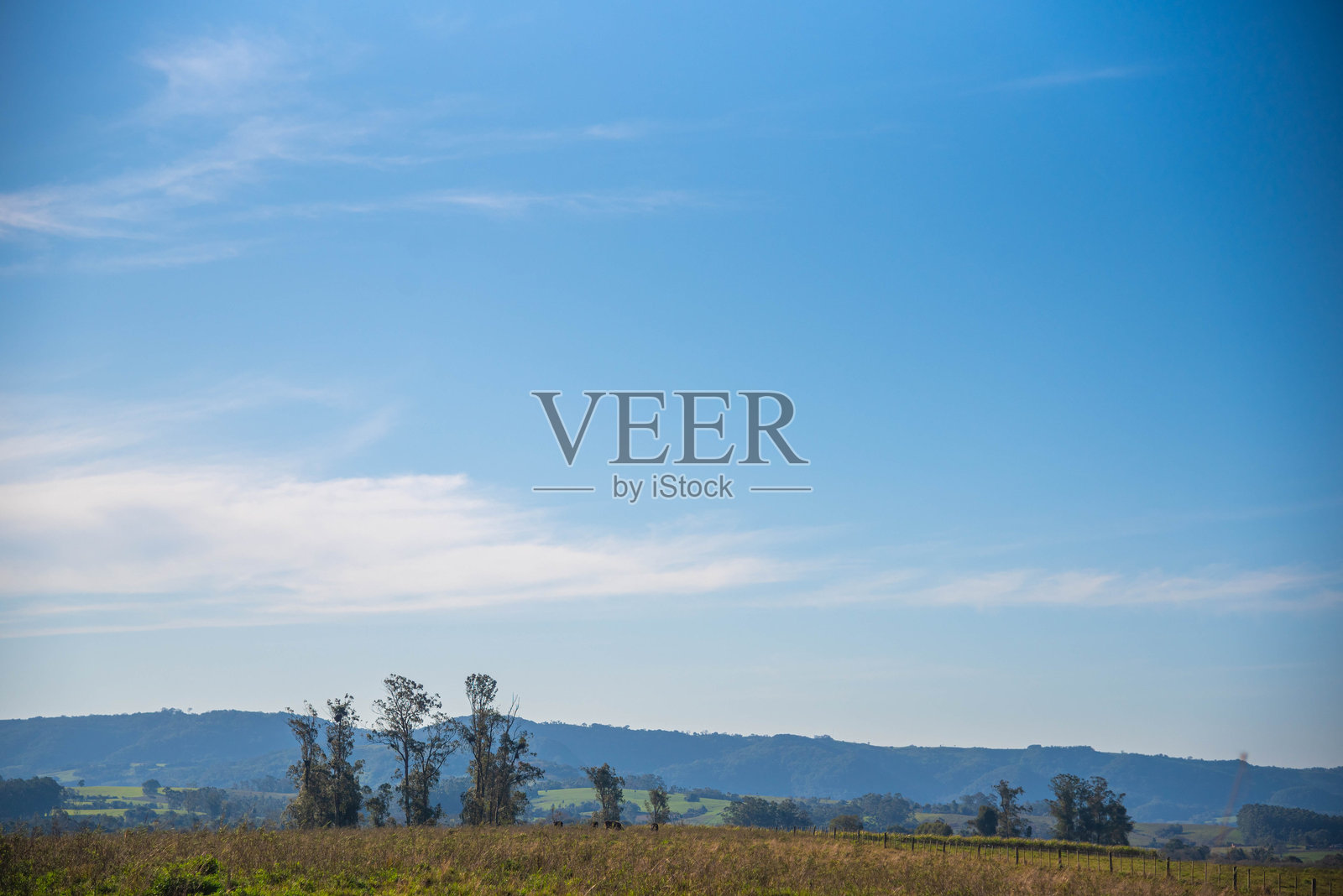 里约热内卢南大河州的草原乡村风光照片摄影图片