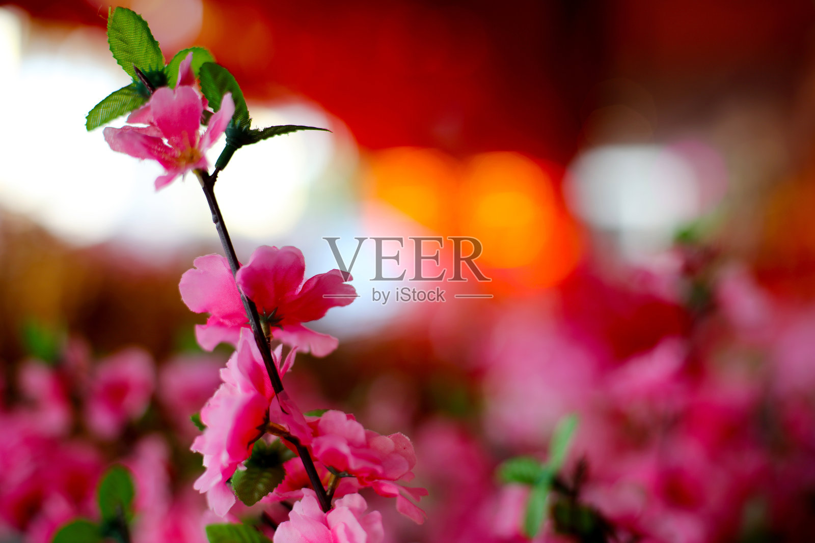 春节零售市场情况照片摄影图片