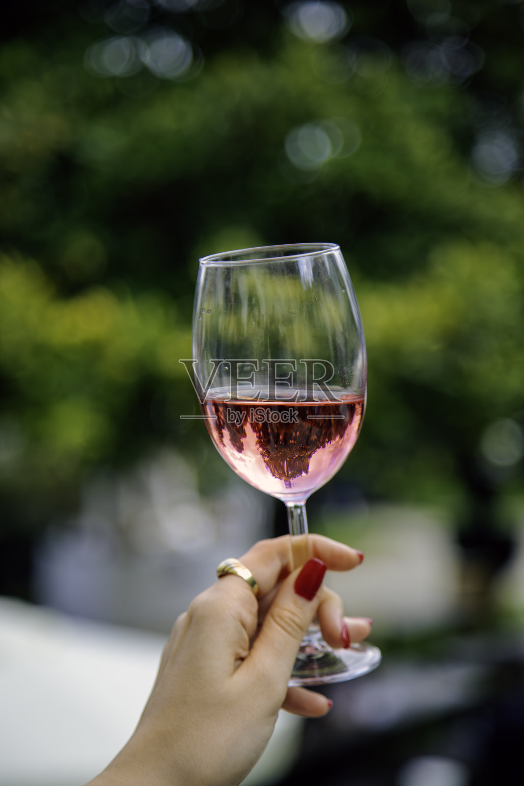 在充满活力的户外环境中盛放的玫瑰酒杯照片摄影图片