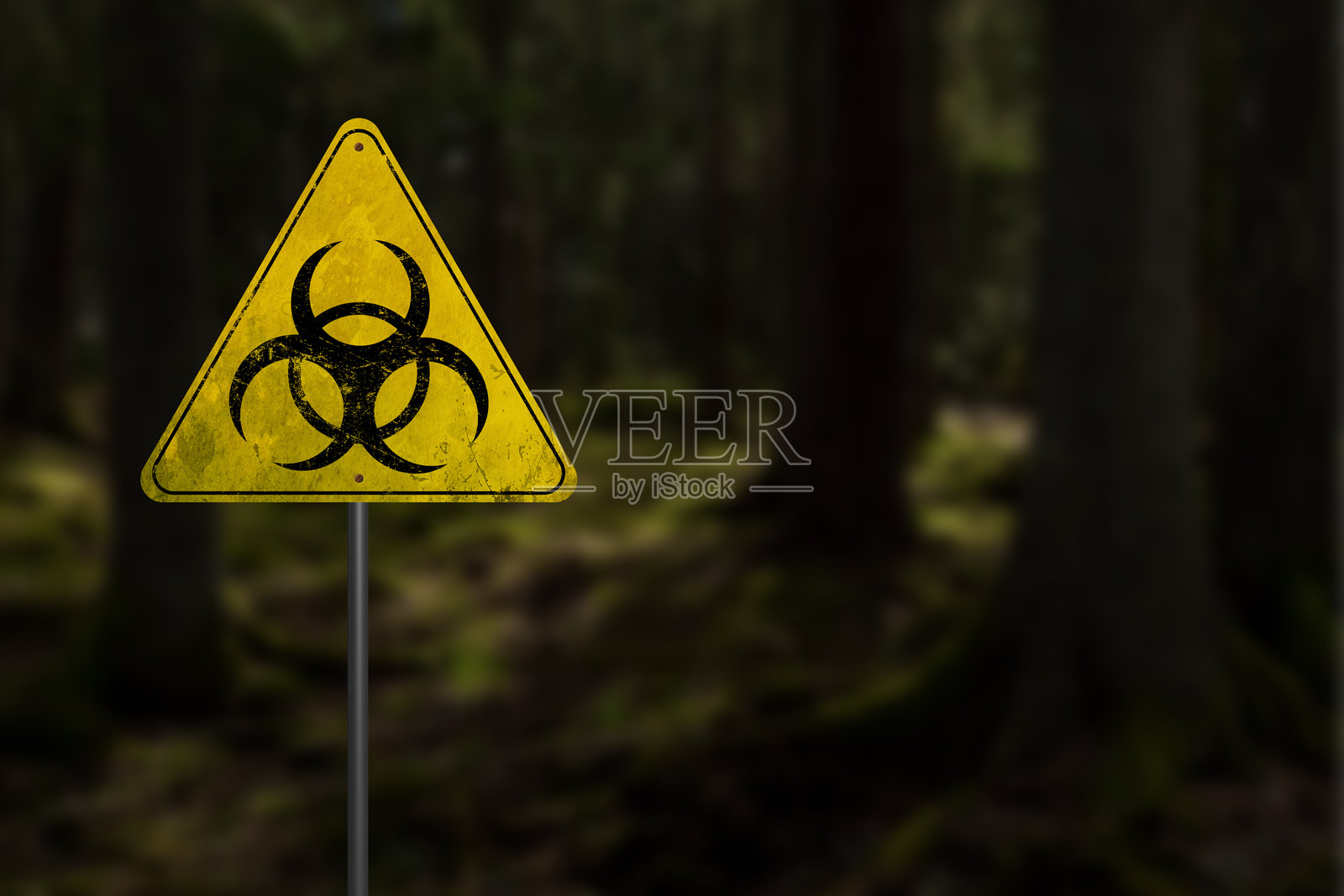 放射性生物危害污染。受污染区域附近的黄色警告标志和危险符号，位于森林中。照片摄影图片