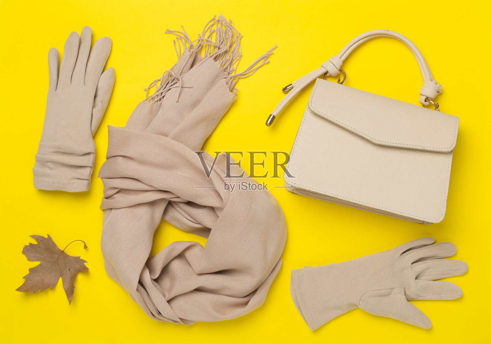 时尚的秋季配饰在彩色背景上，俯视图照片摄影图片