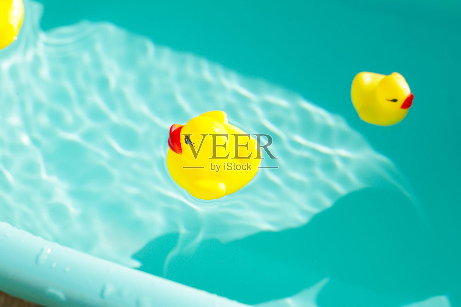 蓝色水中的橡皮鸭照片摄影图片