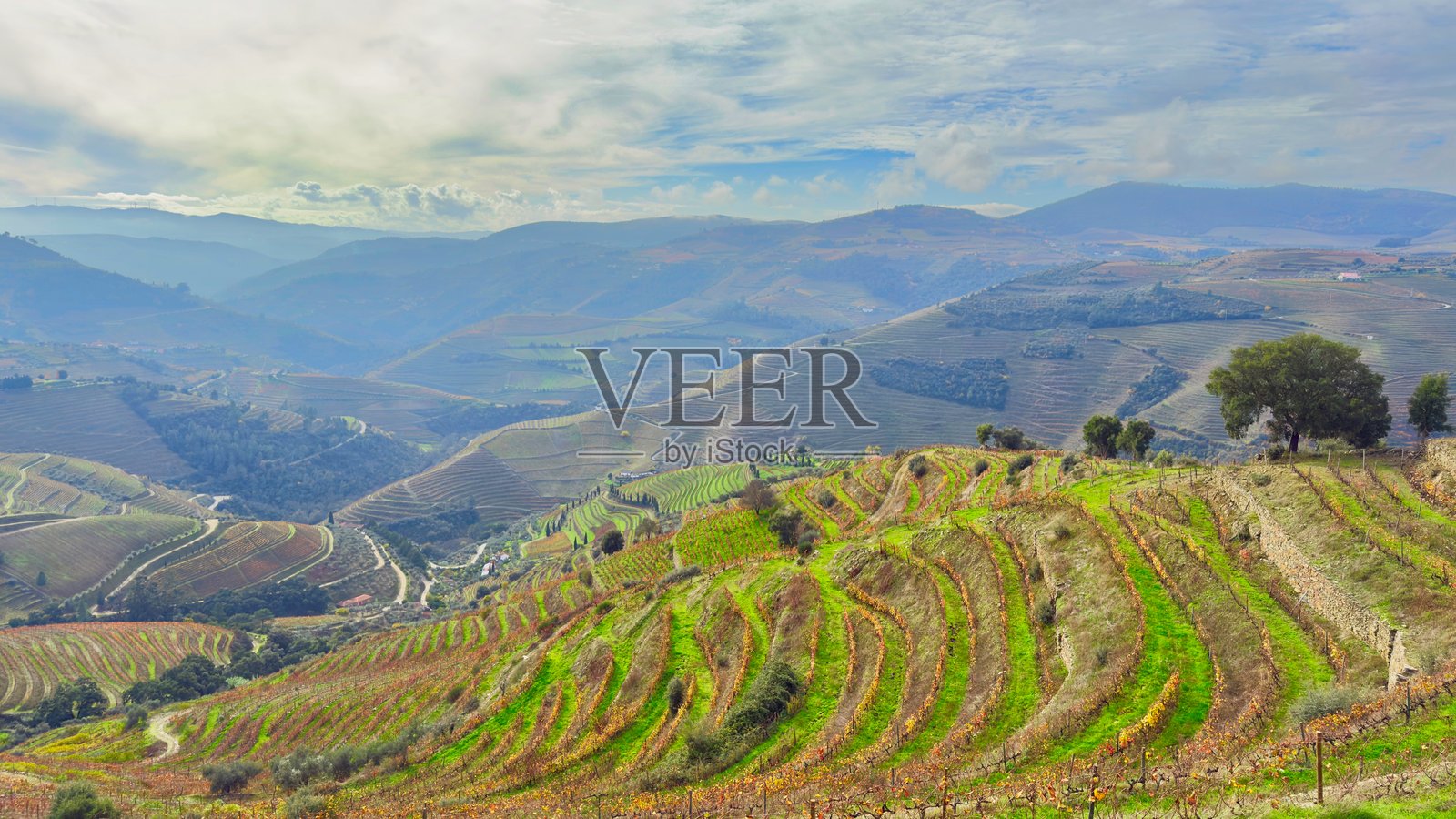 葡萄牙杜罗河谷的全景视图照片摄影图片