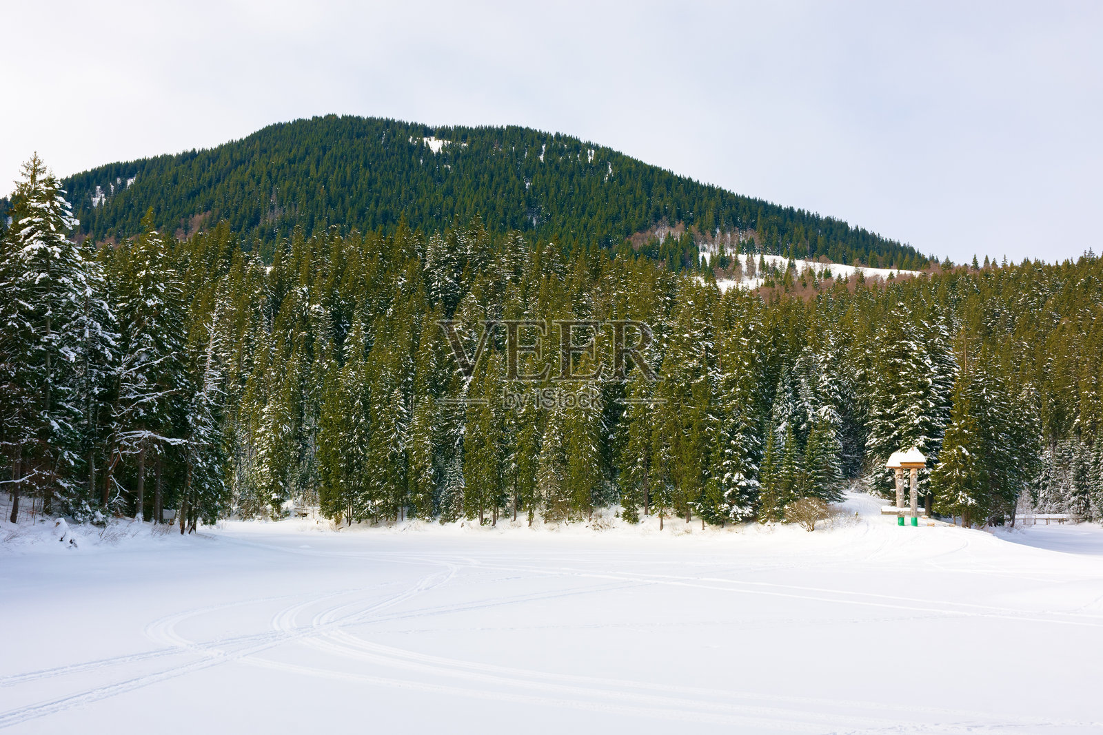 山中针叶林与冰冻湖泊的风景照片摄影图片