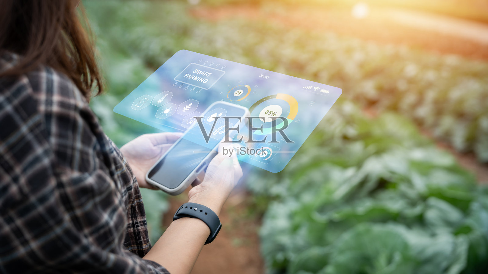 农民利用农业技术和数据分析来种植作物。照片摄影图片