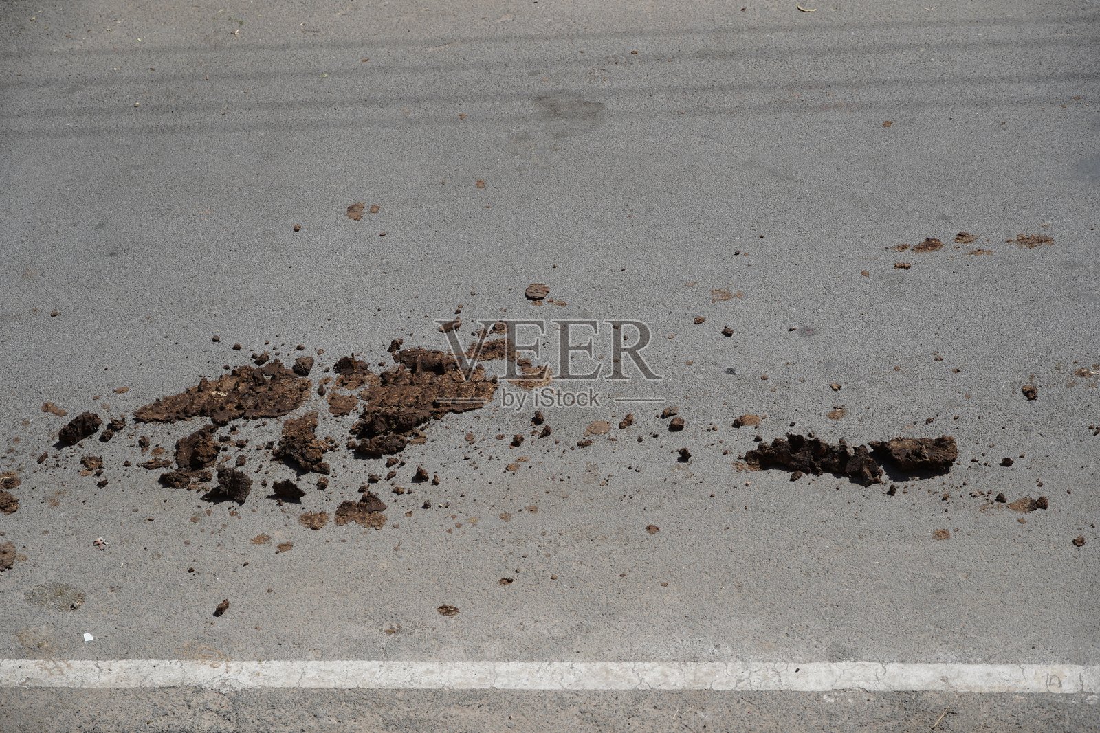 汽车踏板碾压在沥青路上的牛粪。照片摄影图片