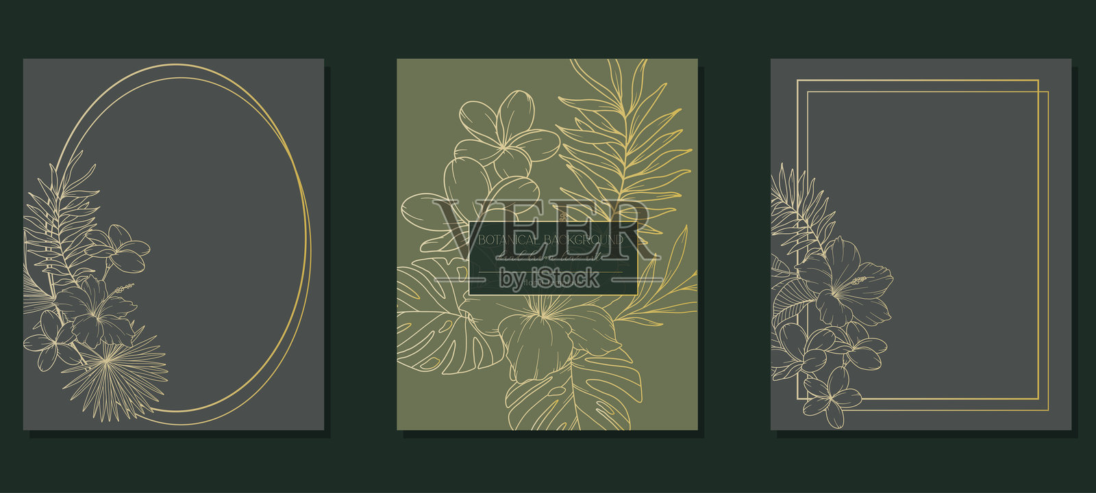 热带花卉轮廓。热带植物线条艺术。带有时尚极简热带植物和花卉的植物背景。奢华花卉线条艺术插图。插画图片素材