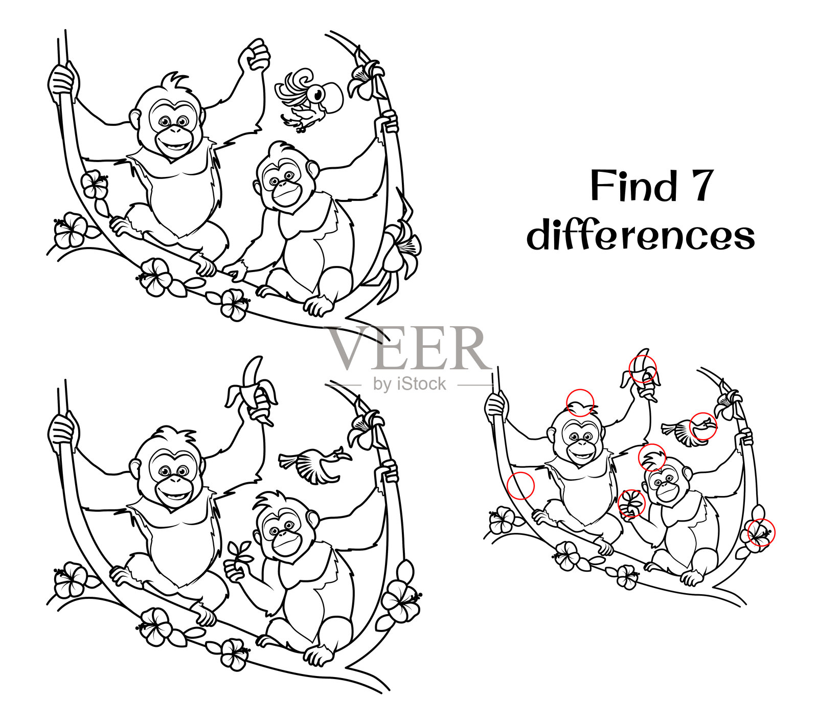 两只黑猩猩坐在藤蔓上。找出7处不同之处。插画图片素材