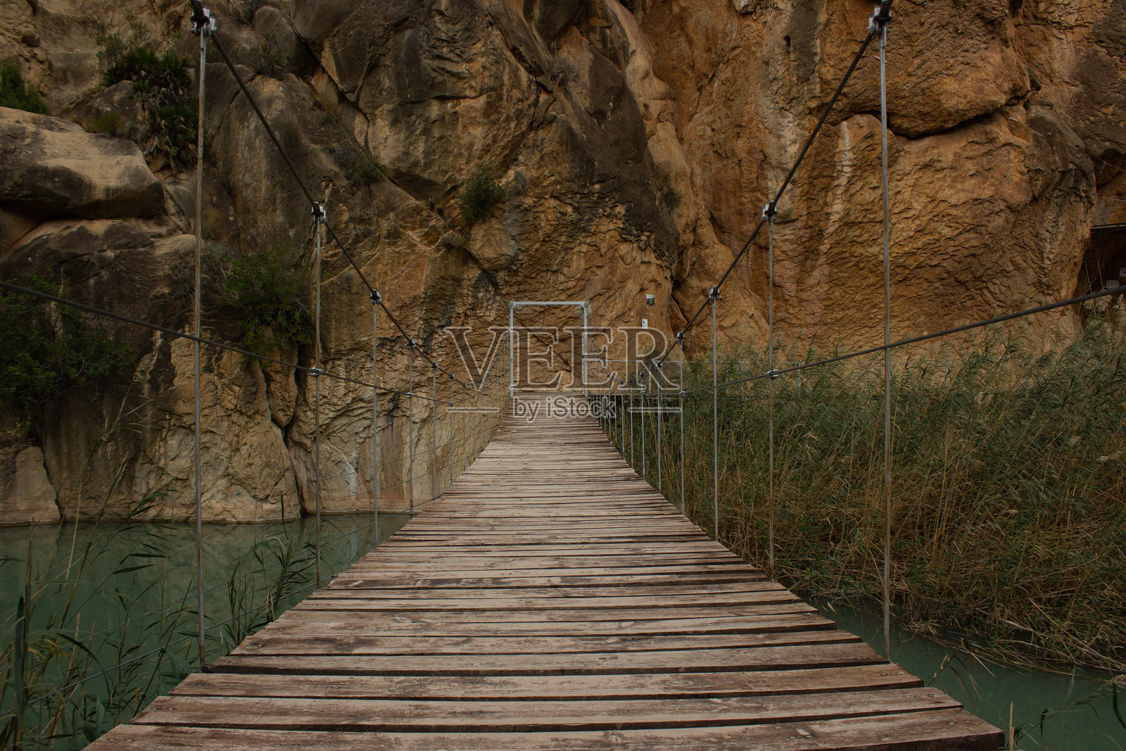 穆尔西亚美丽的木质悬索桥景观照片摄影图片