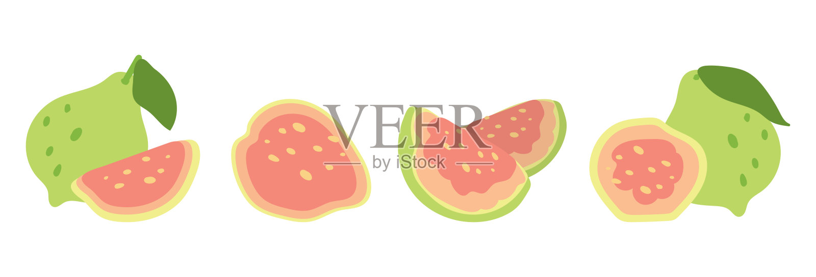 平面风格的番石榴。热带美味水果。透明背景上的矢量孤立图像。插画图片素材