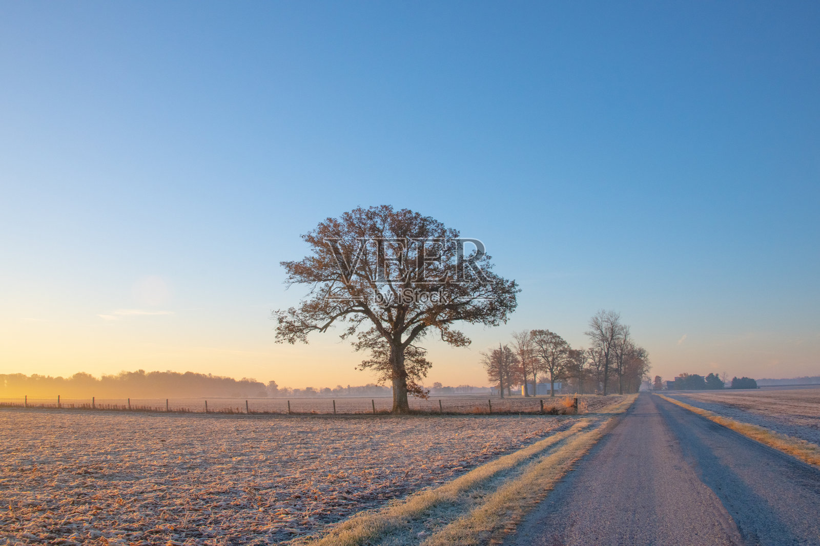 日出时分的乡村道路，轻霜覆盖 - 印第安纳州霍华德县照片摄影图片
