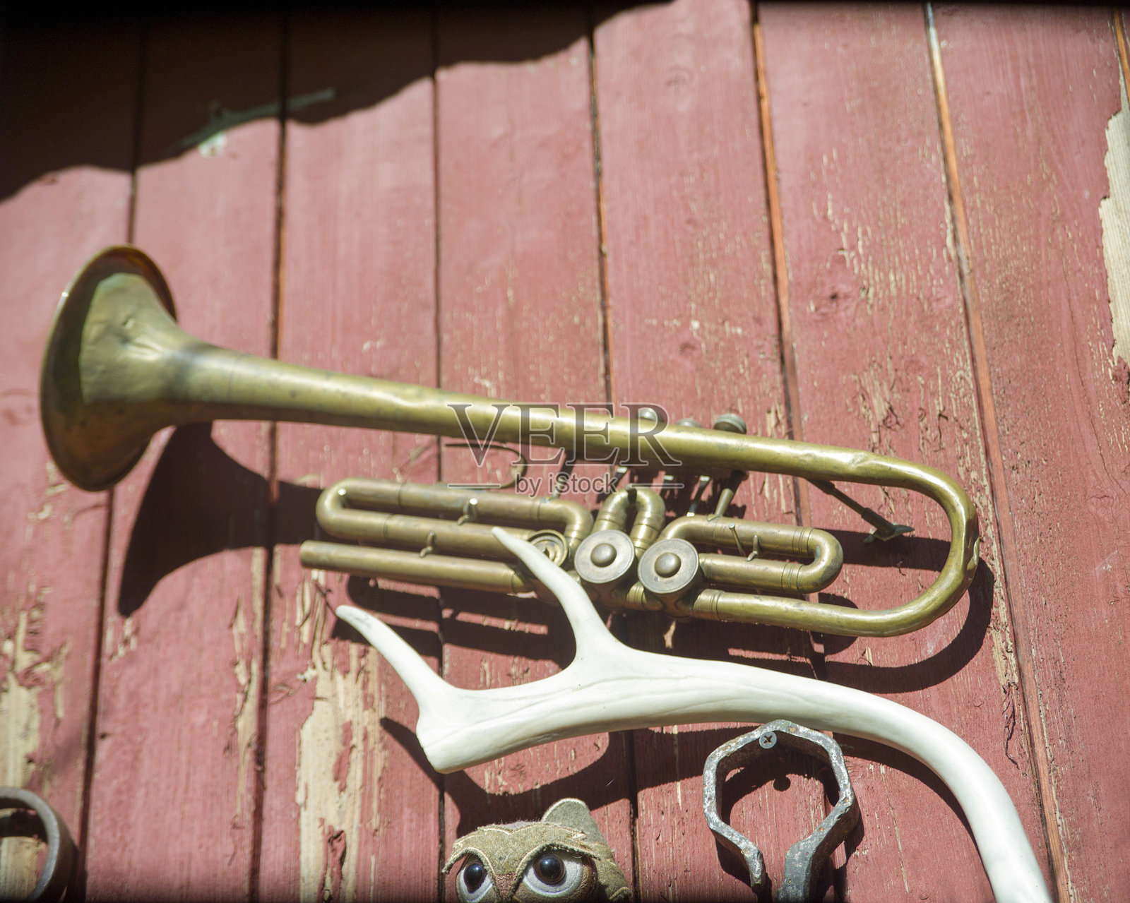 musical horn and deer horns照片摄影图片
