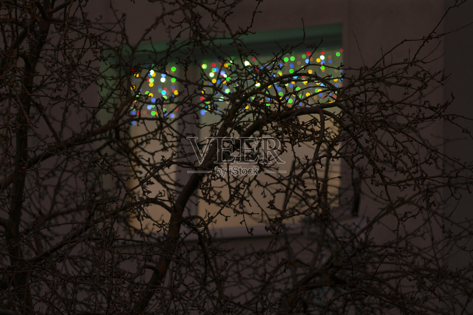 一棵树后面有一扇装饰着圣诞灯的窗户照片摄影图片