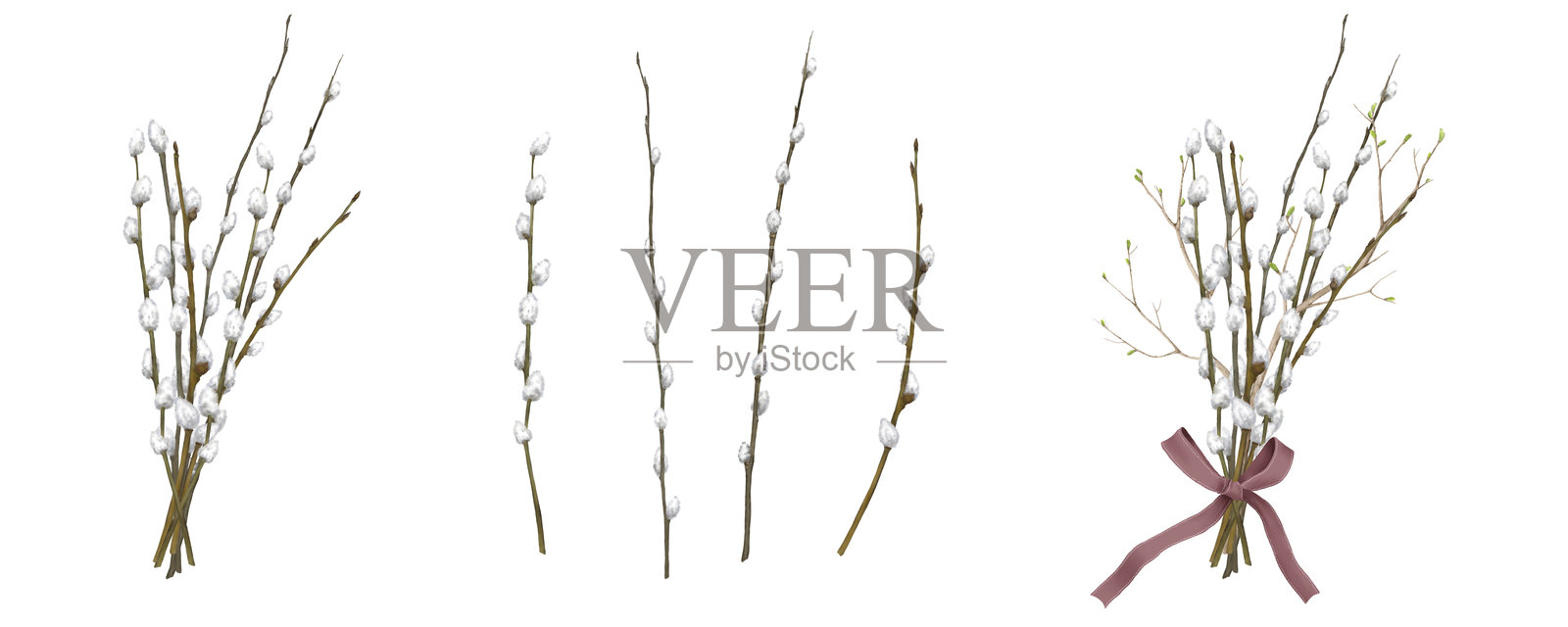 带有毛茸茸花苞的柳枝花束 水彩数字插图。柳枝和春季花束的组合，背景为白色。春季和复活节主题插画图片素材