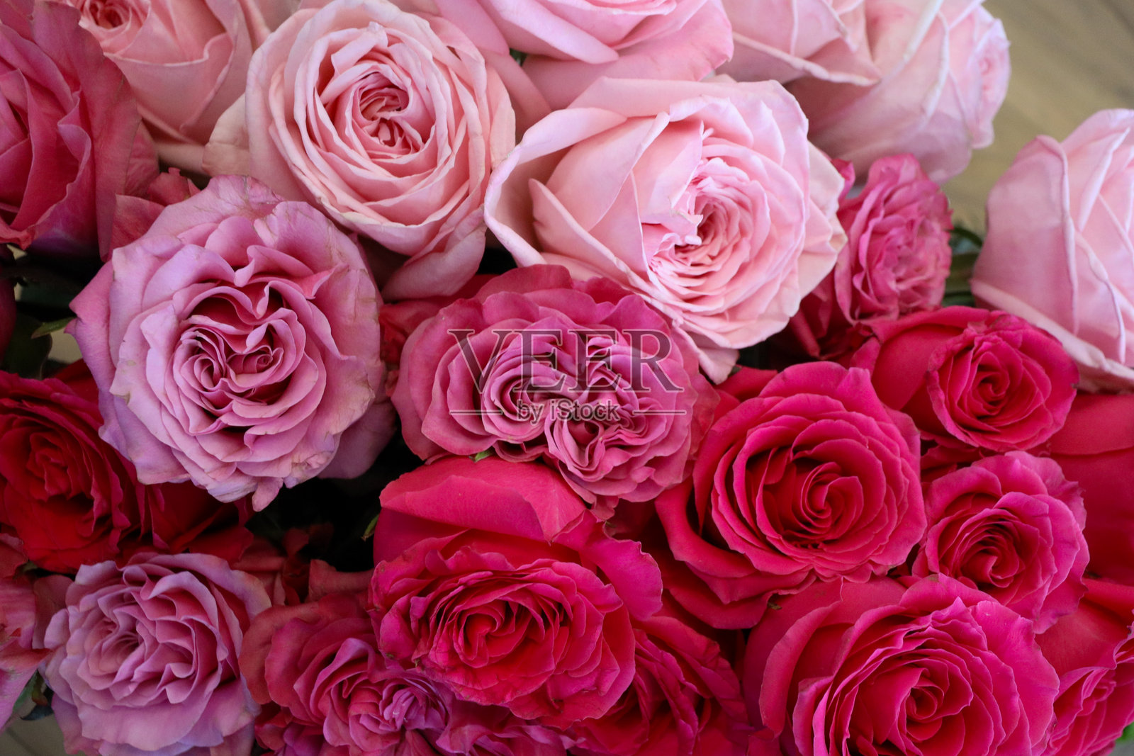 一束令人惊叹的粉红色和红色玫瑰花束，花瓣层次分明，精心排列，展现出它们的美丽，唤起浪漫、优雅和庆祝的氛围。照片摄影图片