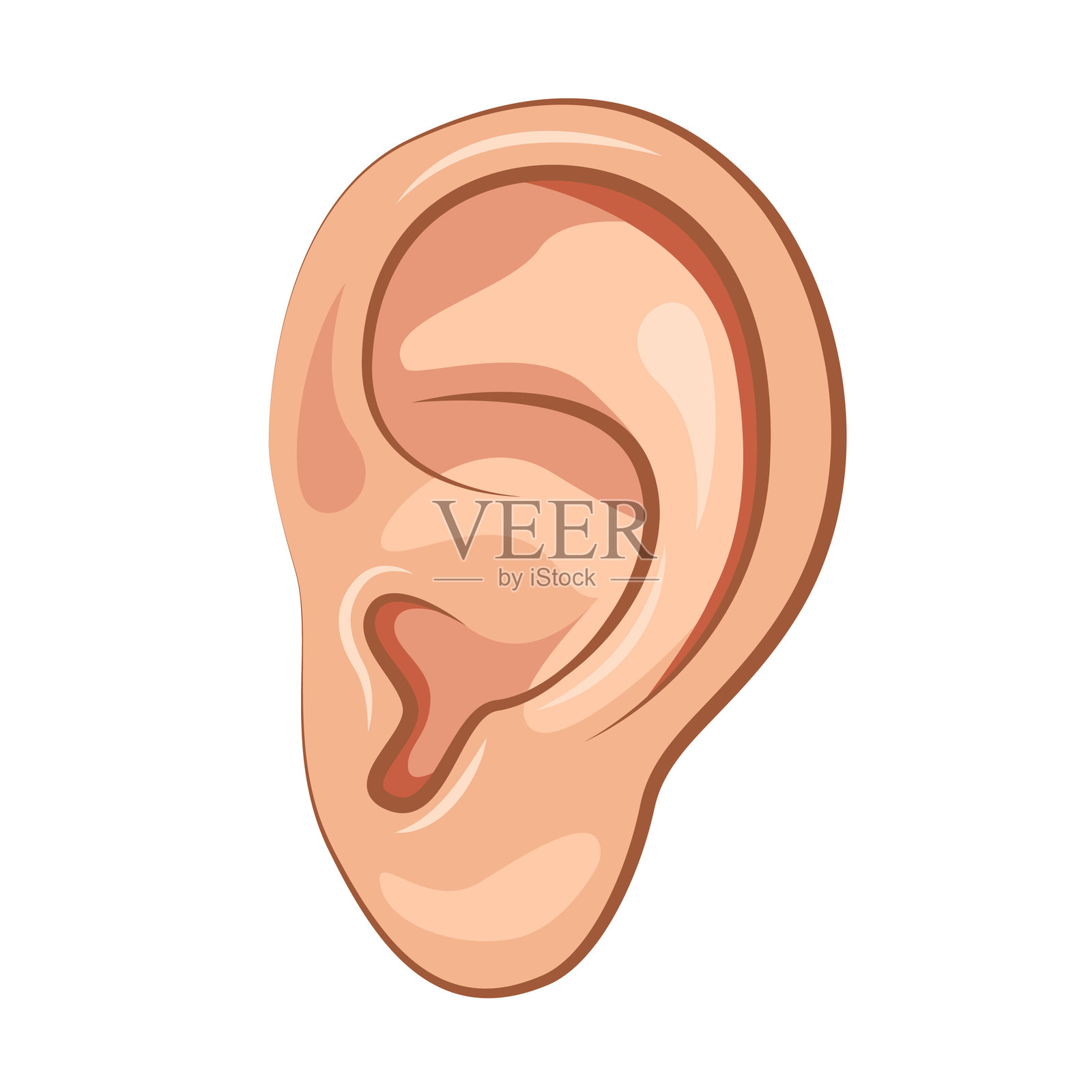 人耳图标特写。插画图片素材