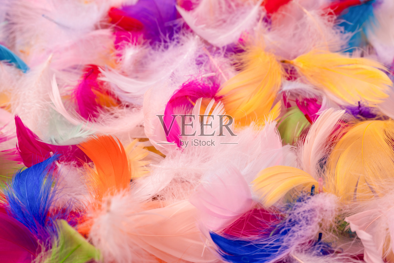 彩色羽毛背景，俯视图。照片摄影图片