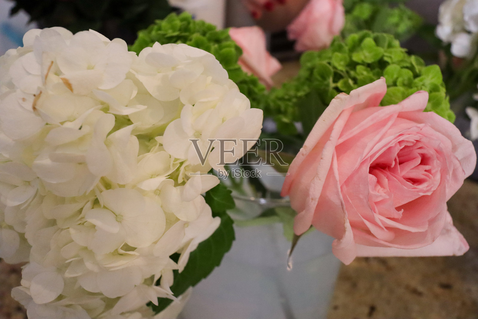 特写镜头展示了一束精致的花卉，包含柔和的粉色玫瑰、白色绣球花和鲜艳的绿色绣球花，突显了新鲜花朵在自然环境中的优雅。照片摄影图片