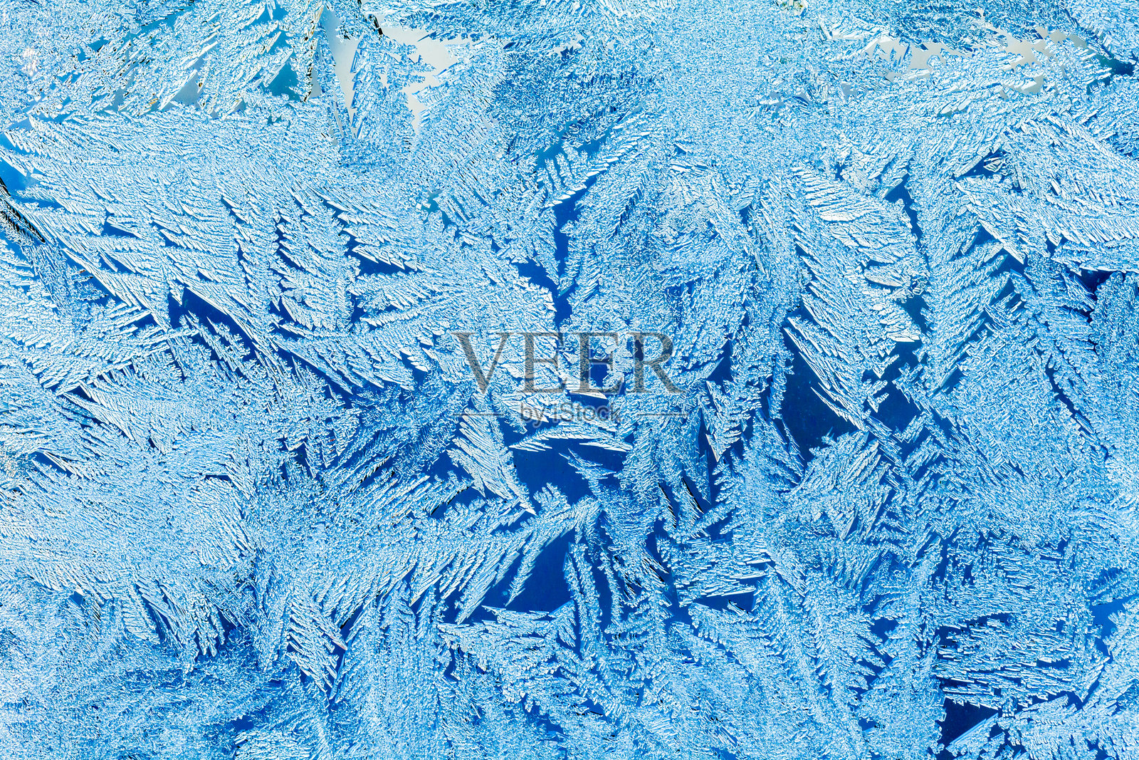 冬天窗户上的霜照片摄影图片