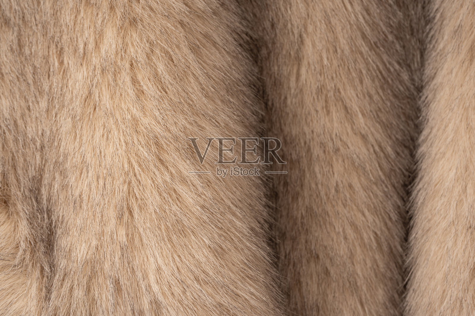 仿毛皮的纹理作为背景，俯视图。照片摄影图片