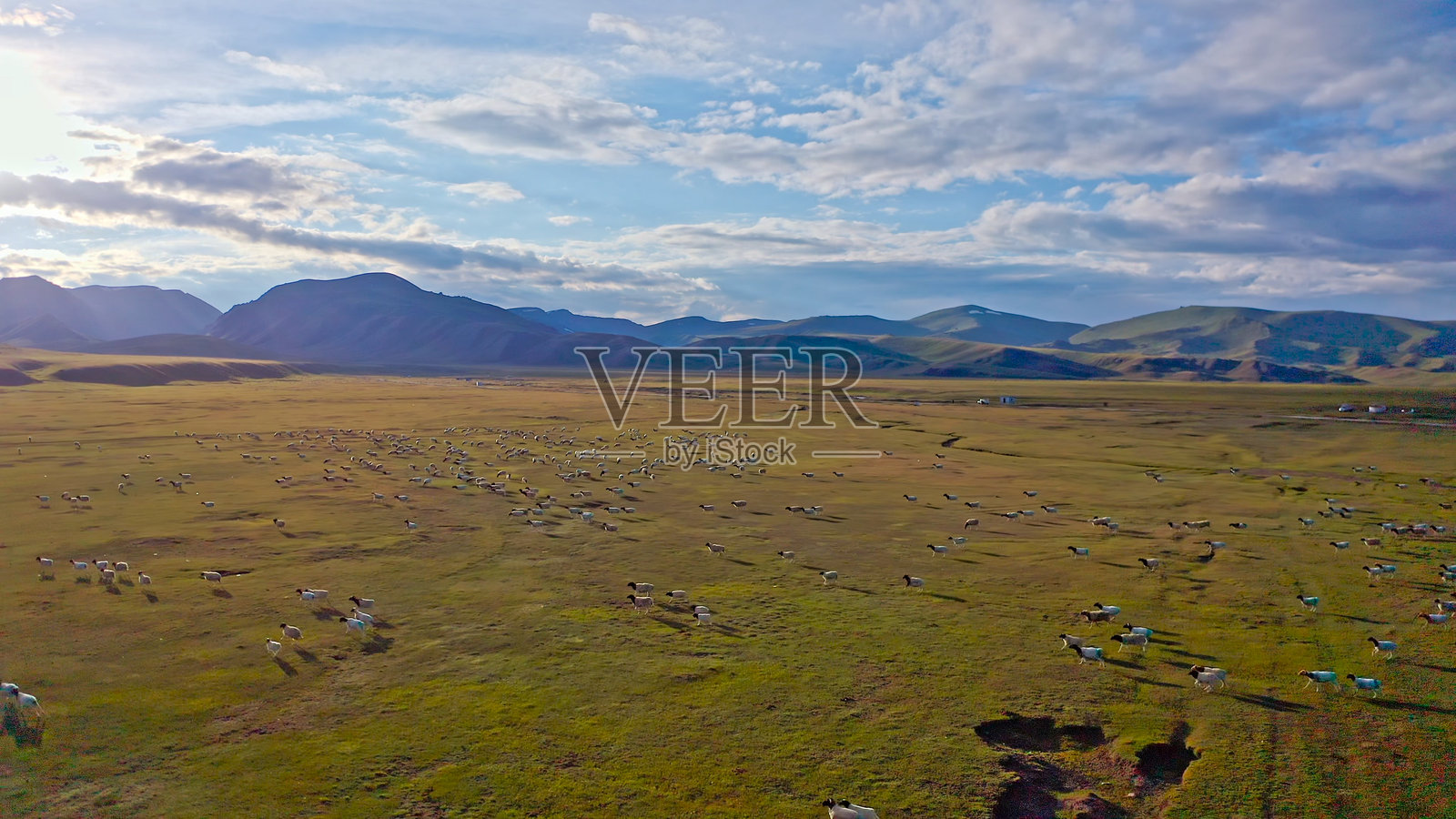 巴音布鲁克草原，中国新疆，亚洲。草原牧场。照片摄影图片