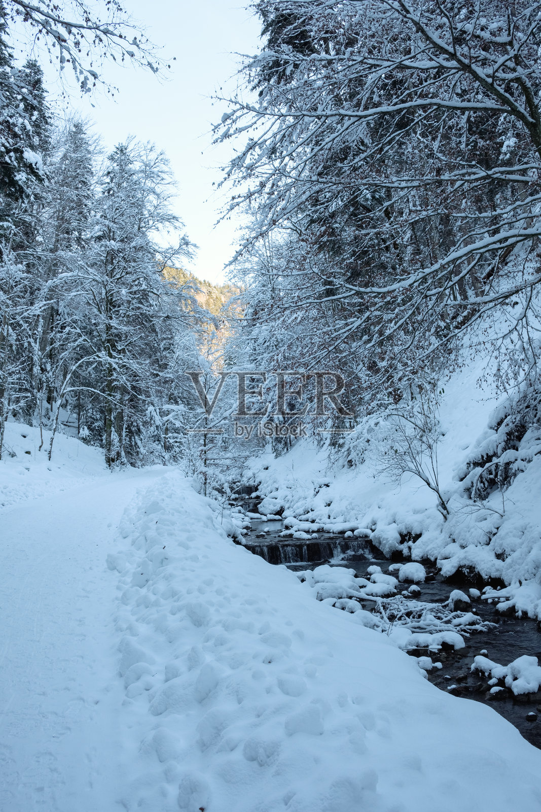 在德国巴伐利亚州塔根湖周围的雪覆盖小径上冬季散步照片摄影图片