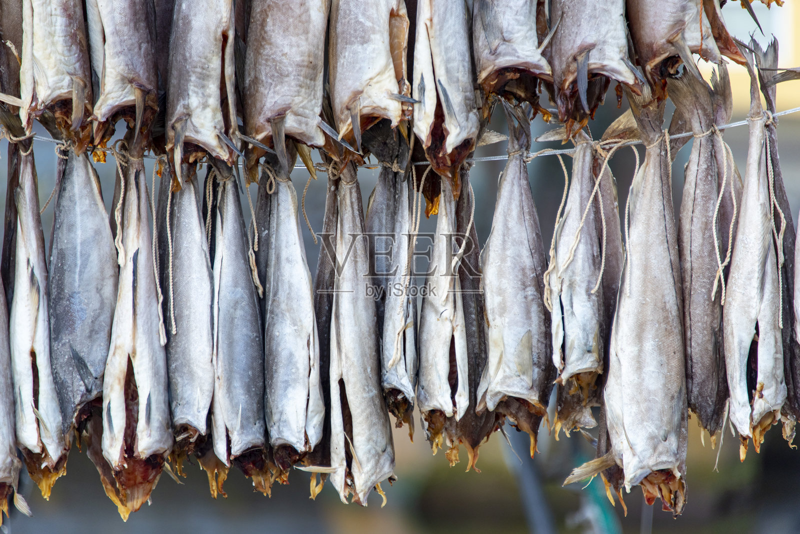 风干发酵鱼照片摄影图片