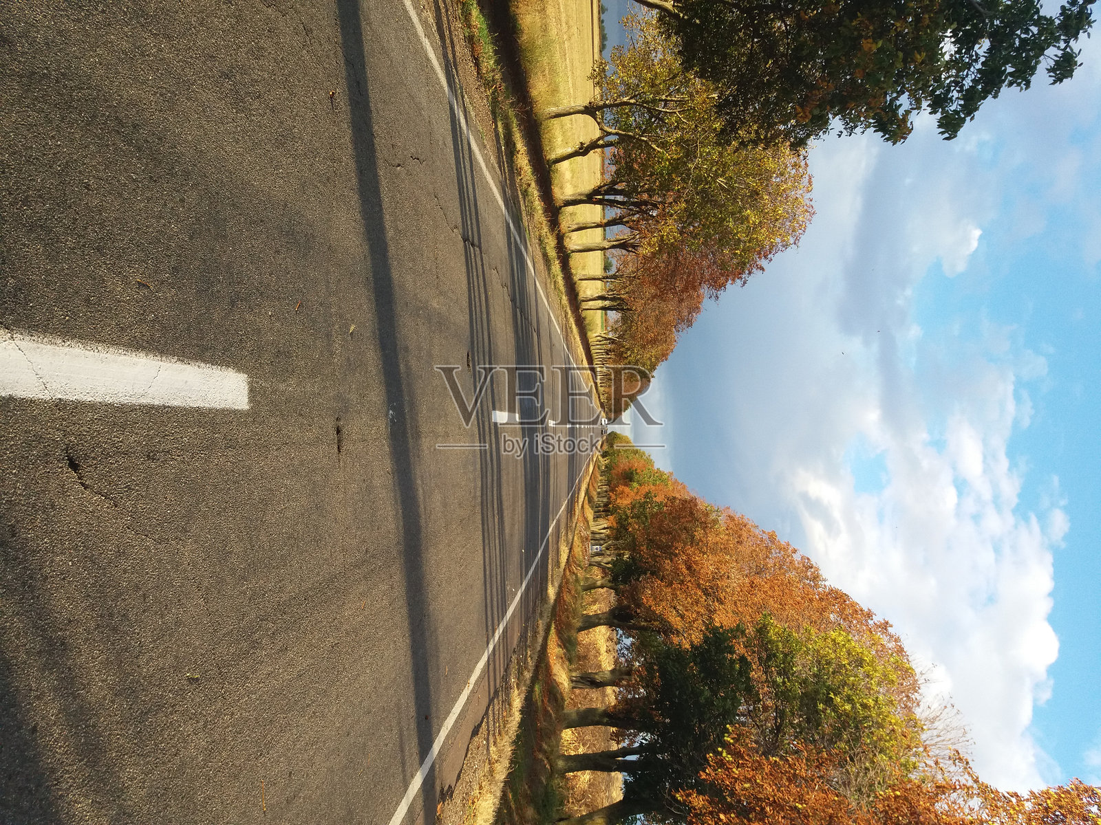 一条令人惊叹的秋季风景道路，四周环绕着生机勃勃、色彩斑斓的树木照片摄影图片