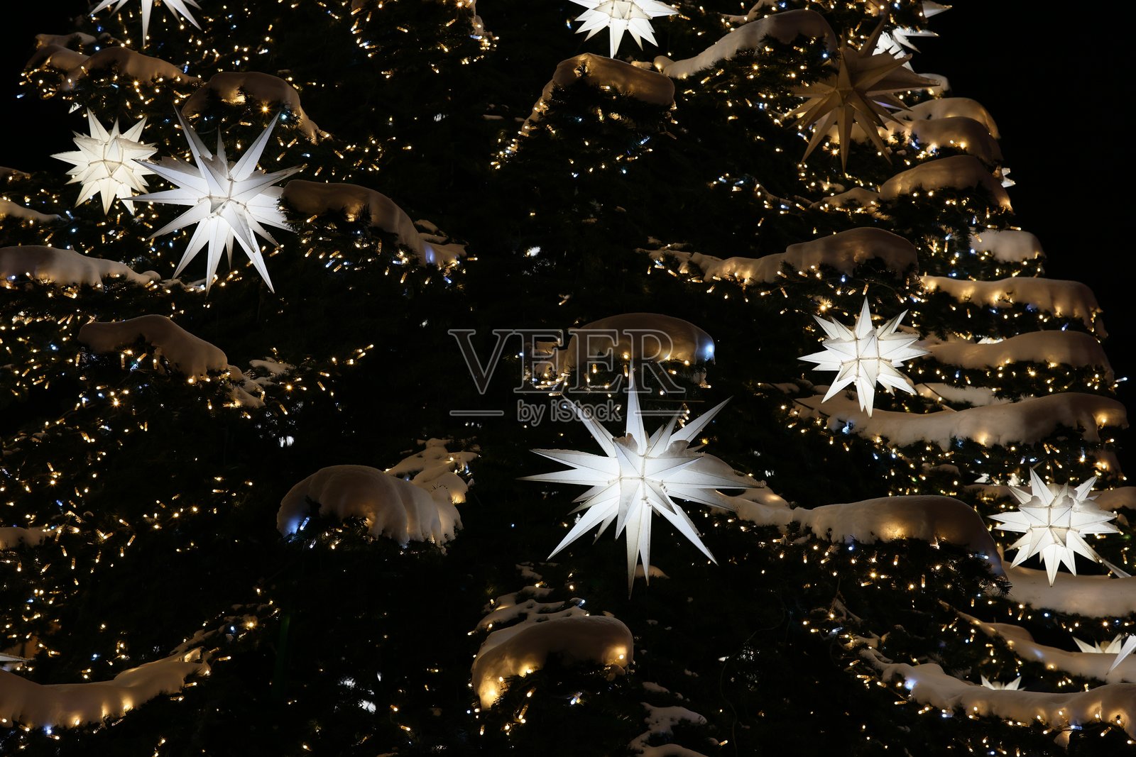 令人惊叹的夜景，绚丽多彩且充满节日气氛的圣诞树展示照片摄影图片