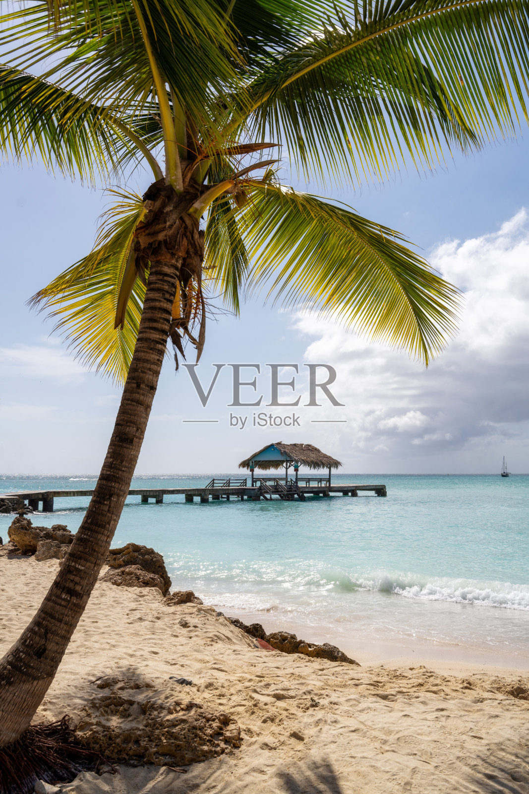 加勒比海的碧蓝水域沙滩与棕榈树照片摄影图片