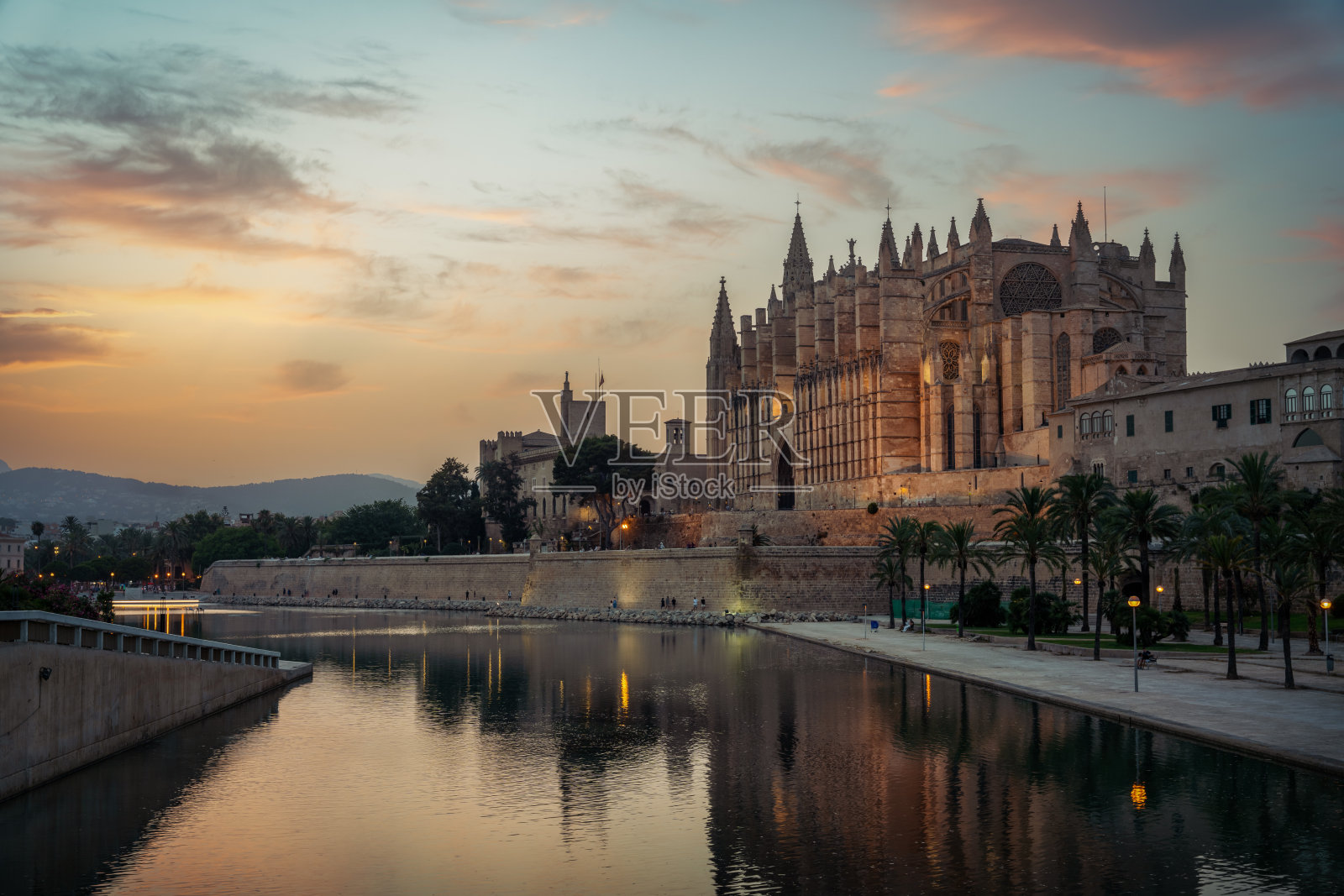 马略卡岛帕尔马的大教堂照片摄影图片