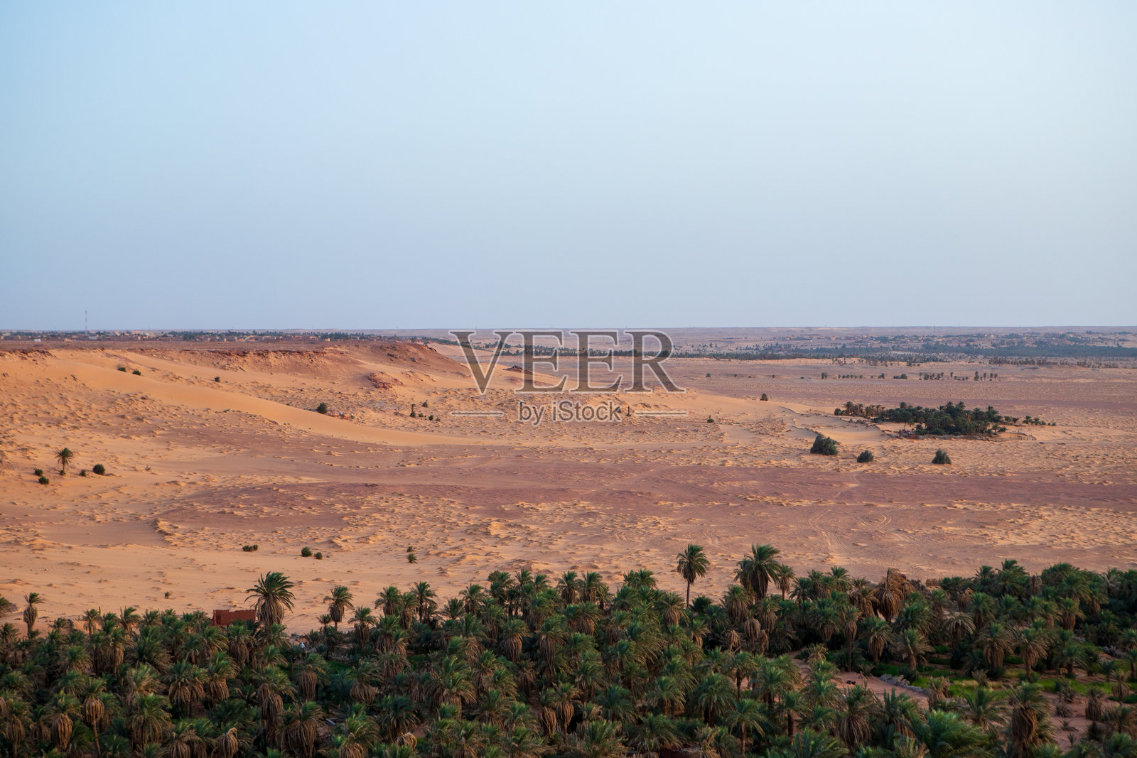 提米穆恩的棕榈林与沙漠照片摄影图片