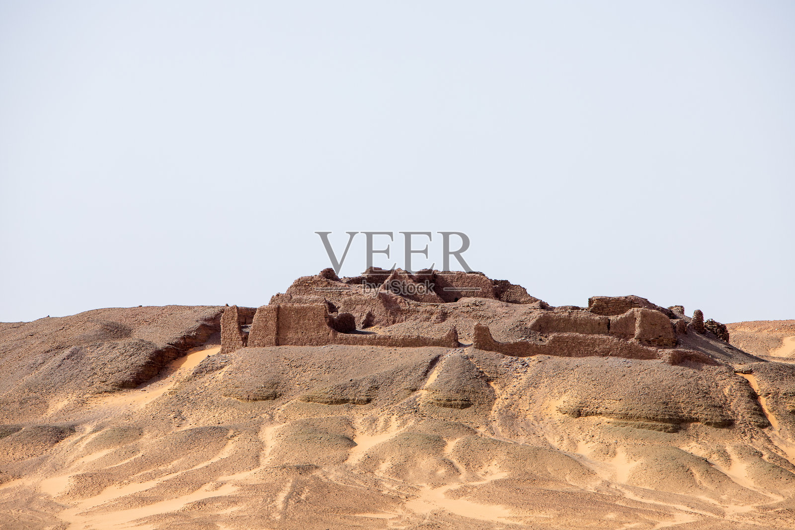 提米穆恩的棕榈林与沙漠照片摄影图片