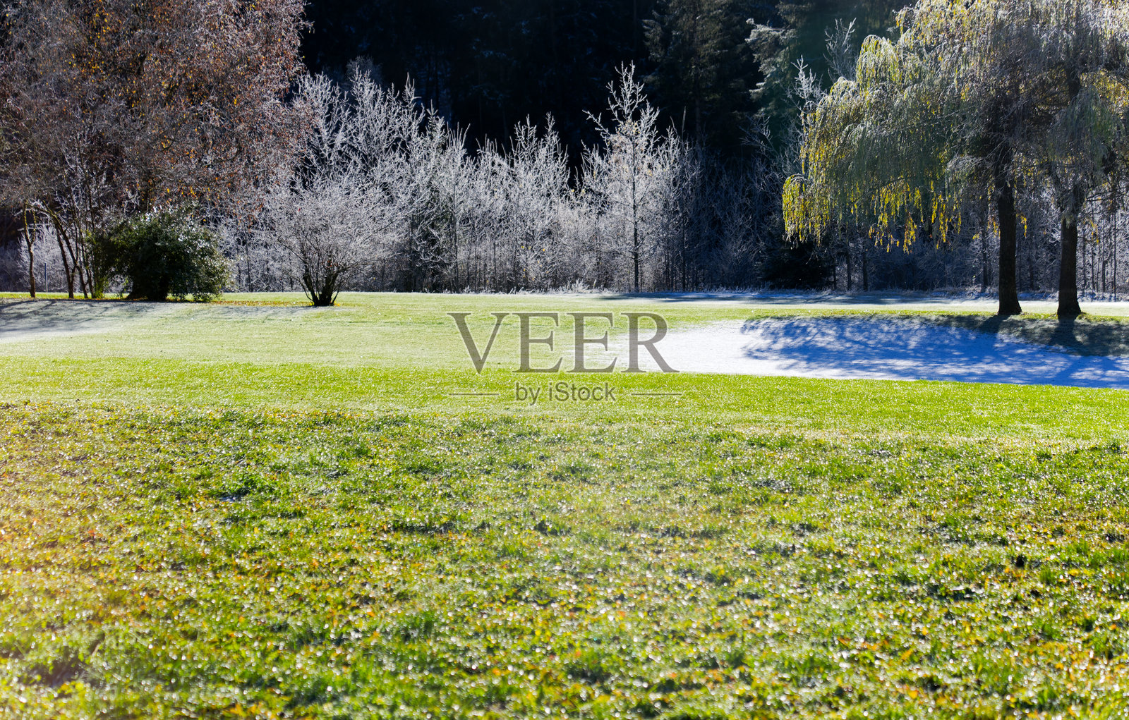 瑞士阿尔卑斯山阳光明媚的秋日，宁静的乡村高尔夫球场风景。照片摄影图片