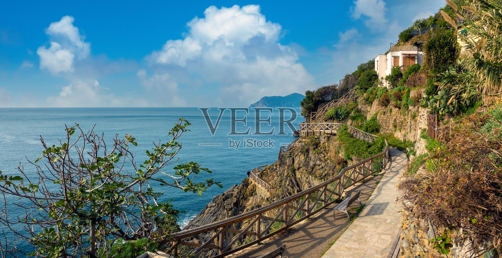 著名的蓝色小径连接意大利利古里亚州拉斯佩齐亚的五个村庄。照片摄影图片