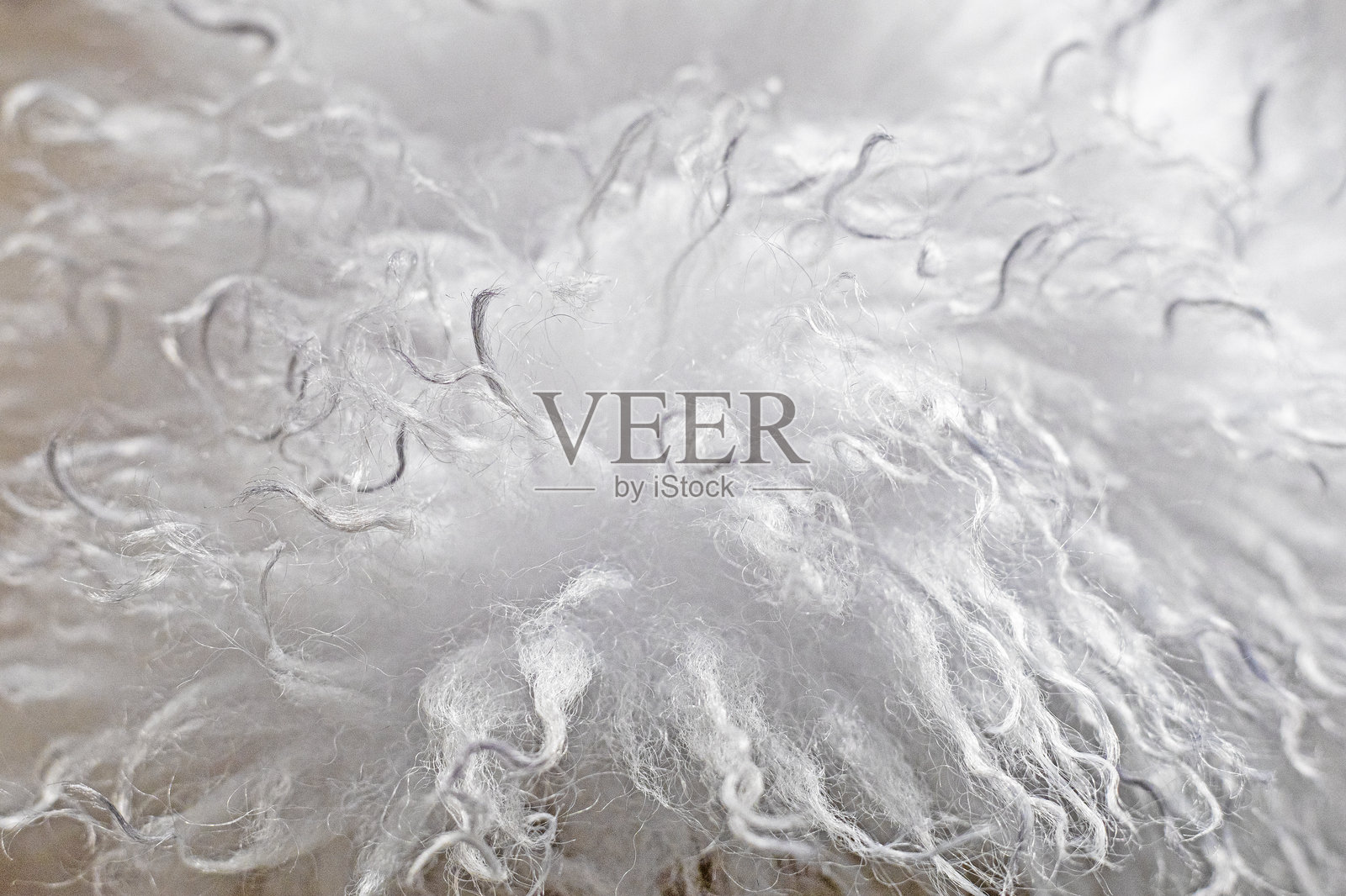 抽象的蓬松浅色毛皮背景照片摄影图片