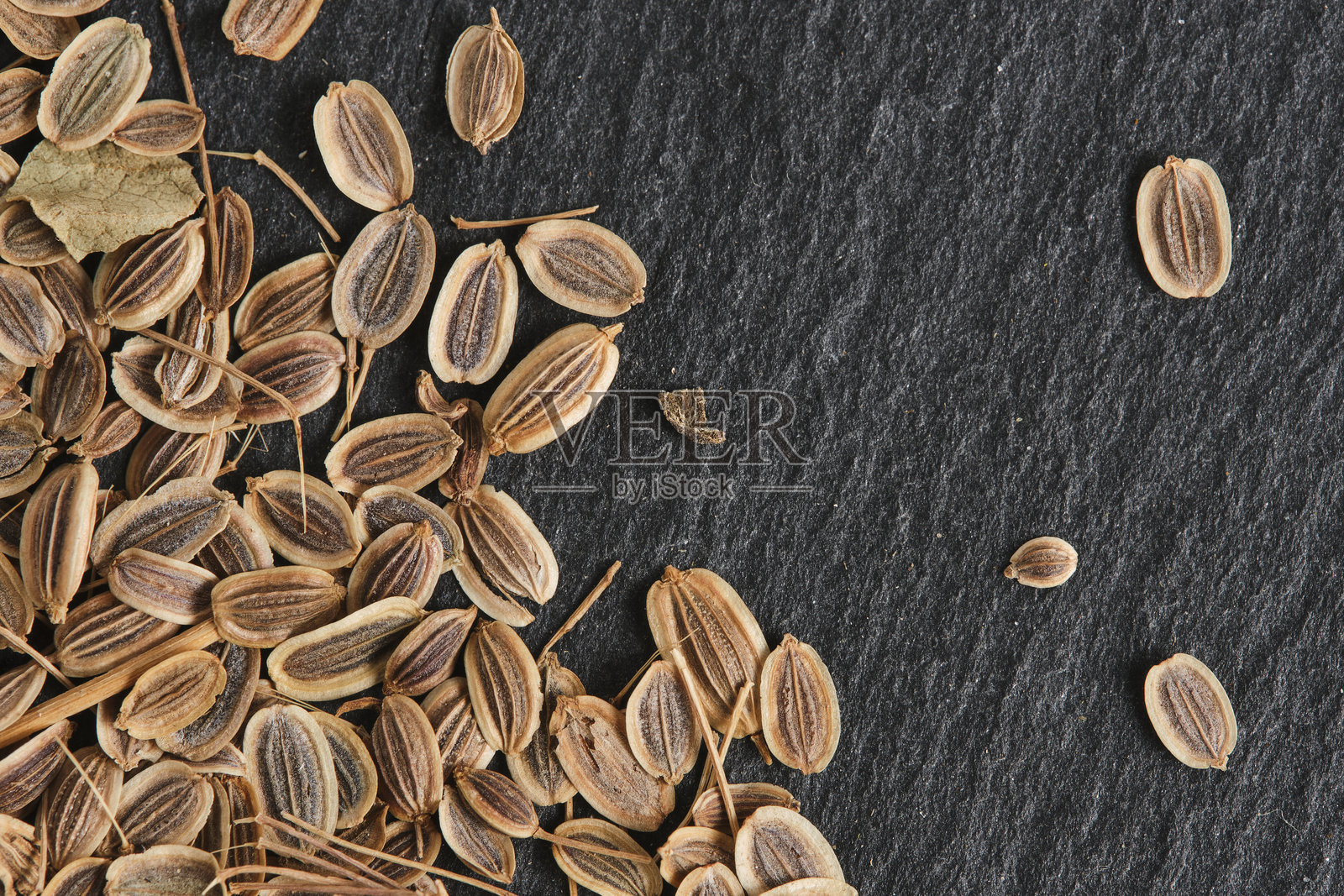 莳萝种子的特写宏观摄影。照片摄影图片