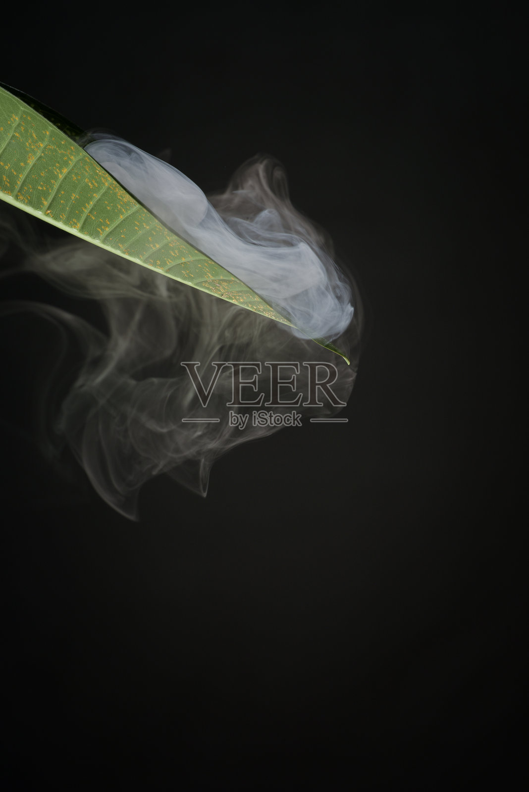 热带叶子展示细胞结构和纹理，奇异的雾气从叶缘缭绕而出照片摄影图片