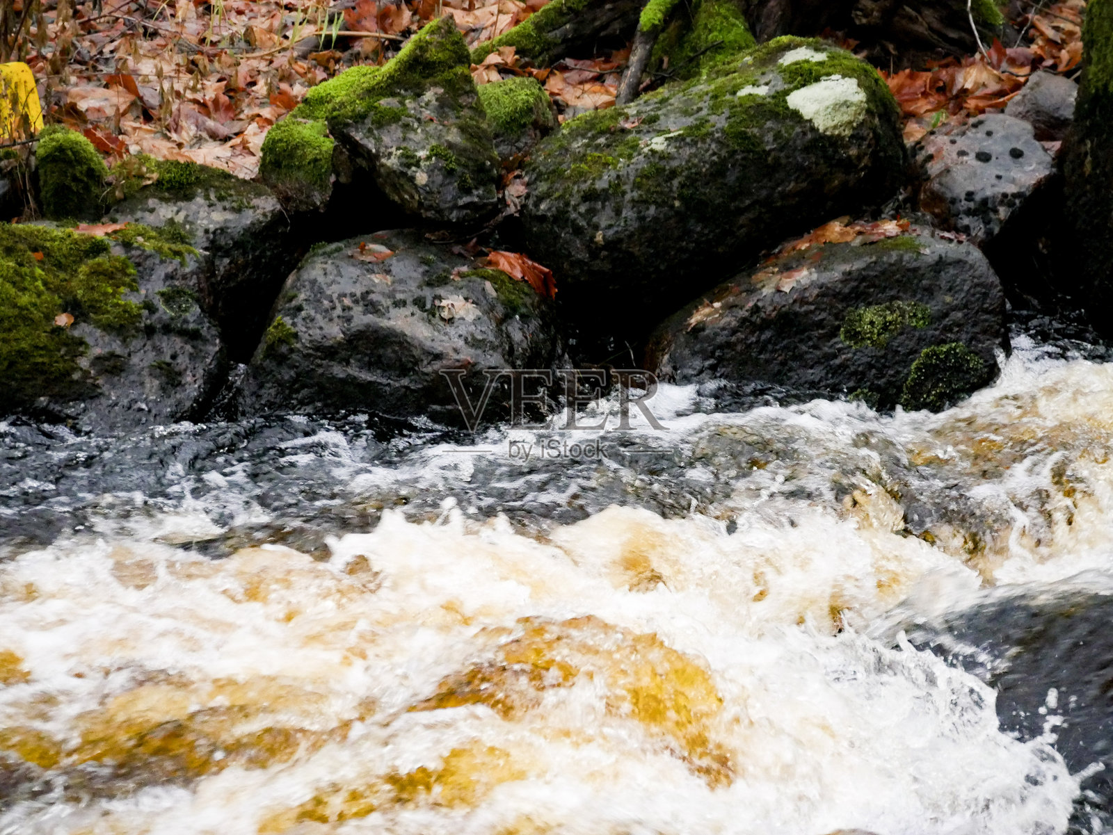 森林中的溪流照片摄影图片