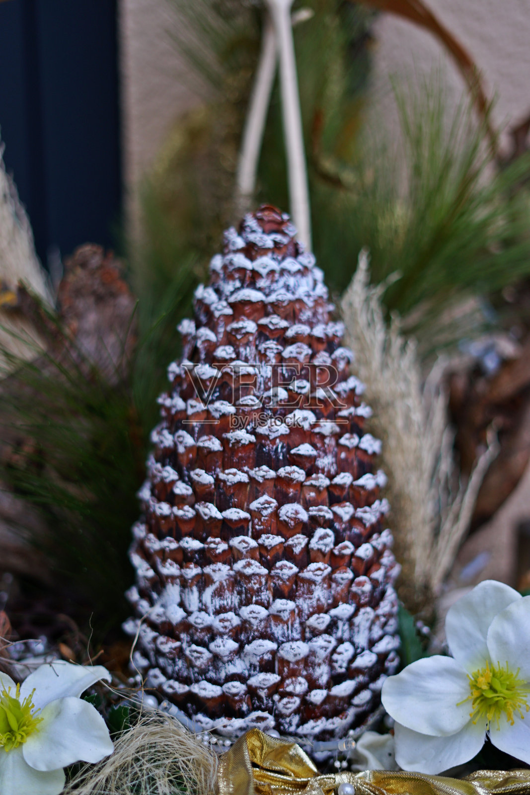 冬季装饰中的雪松果照片摄影图片