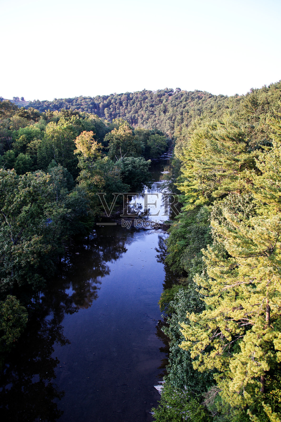 树木成行的小溪照片摄影图片