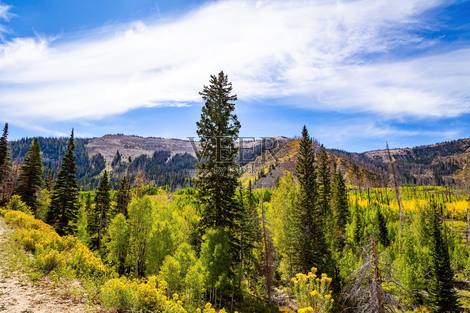 通往摩押的道路。照片摄影图片