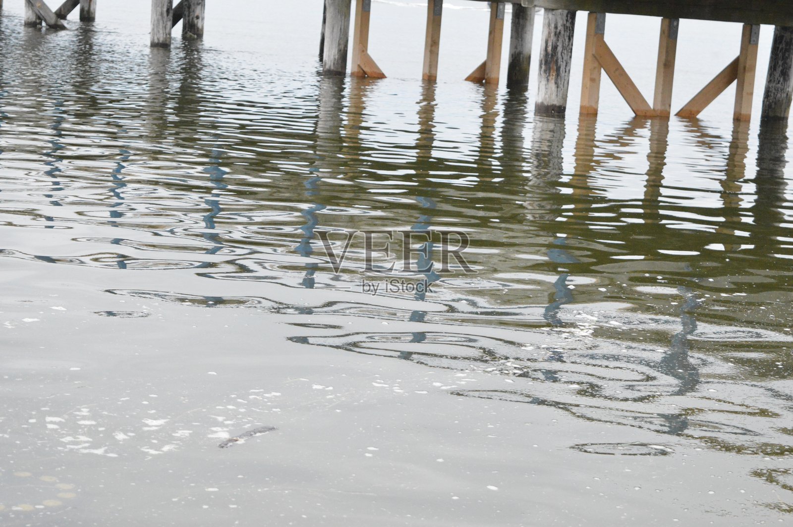 特写镜头照片摄影图片