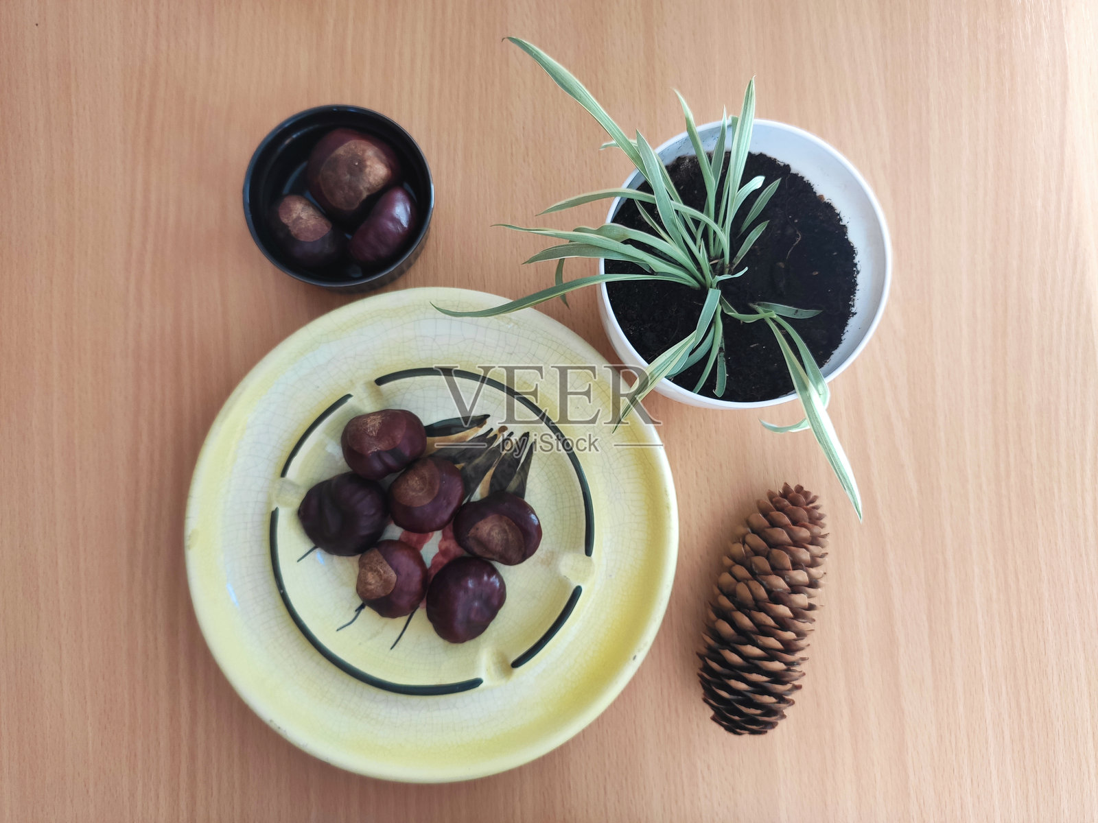 桌子上的闪亮棕色栗子照片摄影图片