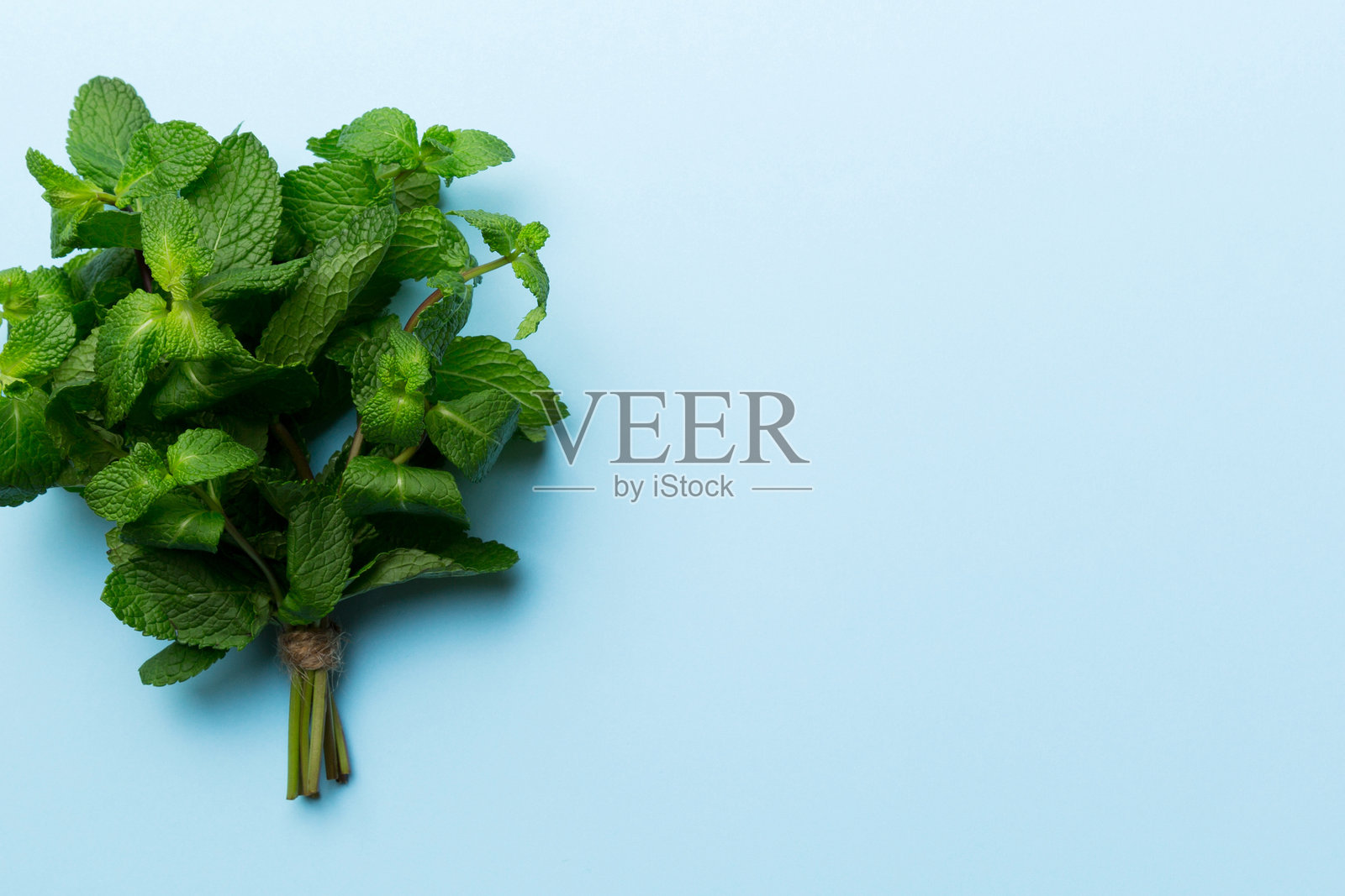 薄荷叶。彩色背景上的新鲜薄荷。薄荷叶孤立的俯视图，留有空白空间。照片摄影图片